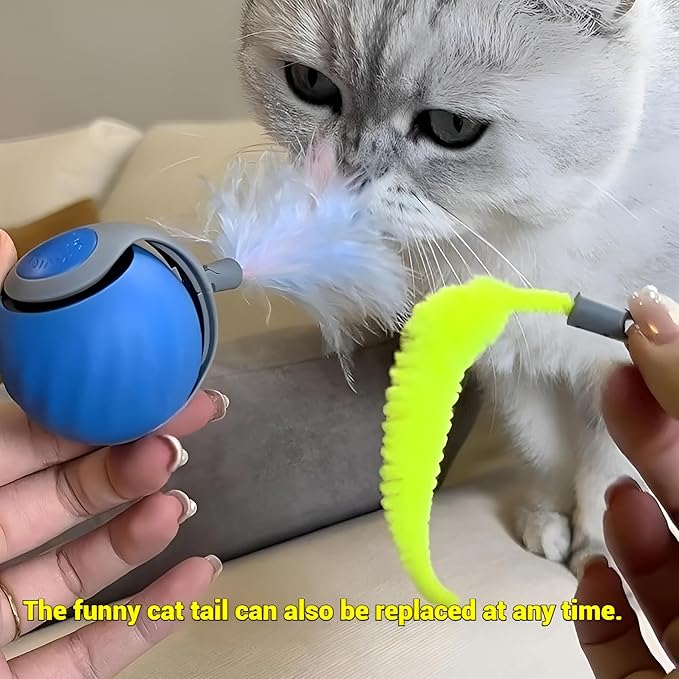 2025 Interactive Cat Toys Ball, Automatic Rolling Adult Cat Toy, Smart Moving Dog Toys for Bored Indoor Outdoor - Motion Activated Cat Toy Power Ball 2.0 Cat Toy (Blue)