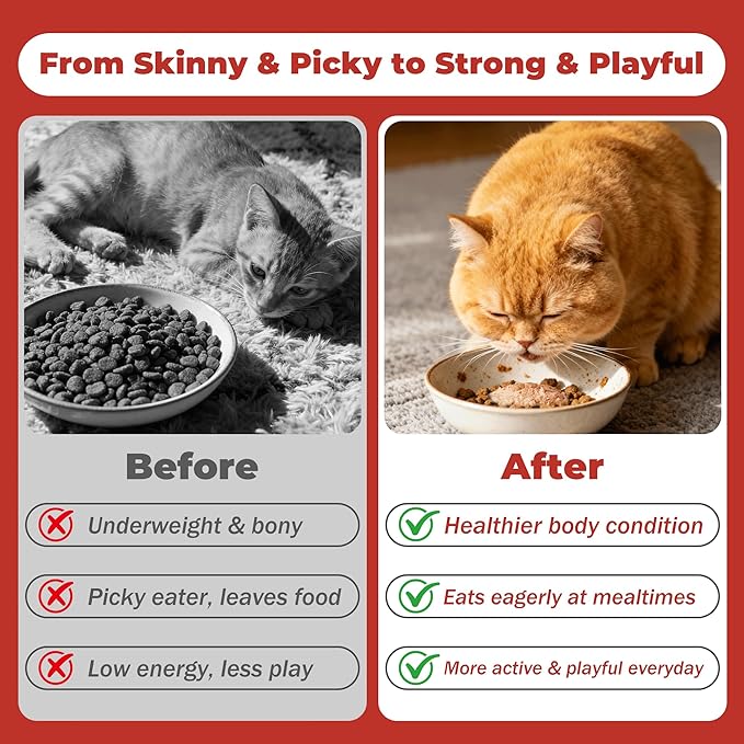 High Calorie Nutrition Paste for Cats – 12g x 30 Bars- Provides Weight gain and Appetite Support for picky or underweight Cats - Contains Taurine, DHA Colostrum - Promotes Vitality and Healthy Growth