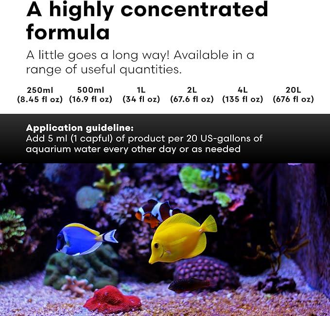 Brightwell Aquatics Magnesion Liquid Salt Water Conditioner - Concentrated Magnesium Supplement For Reef and Marine Aquariums, 8.45 fl oz