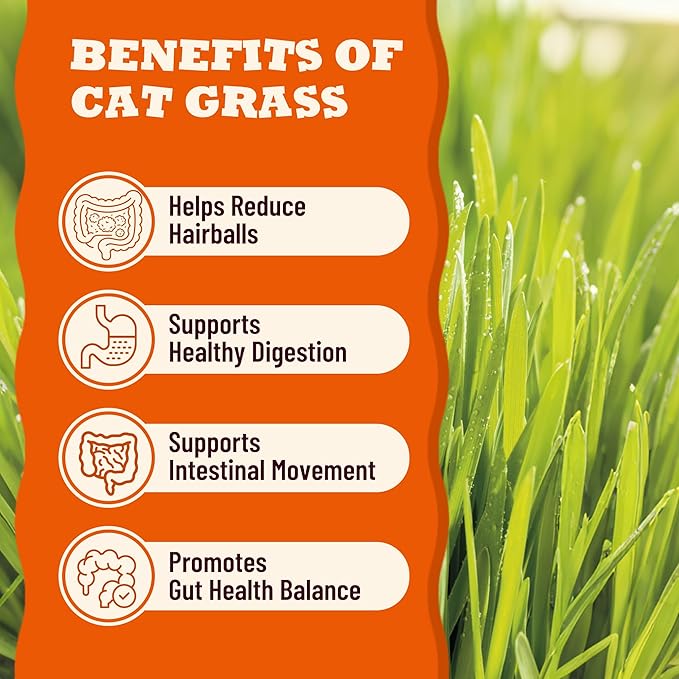 Lickable Cat Grass Treats with Lick-Up Spoons, Healthy Cat Grass Wet Cat Snacks for Hairball Control, Grain-Free Kitten Treats with Taurine, Vitamins&70% Real Chicken, 10.16 oz (24 Spoons)