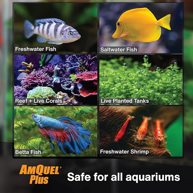 Kordon AmQuel Plus Aquarium Water Conditioner - Instantly Detoxifies Ammonia, Nitrite, Nitrate, and Chlorine Remover for Freshwater & Saltwater Aquariums, 16 Ounces (Pack of 2)