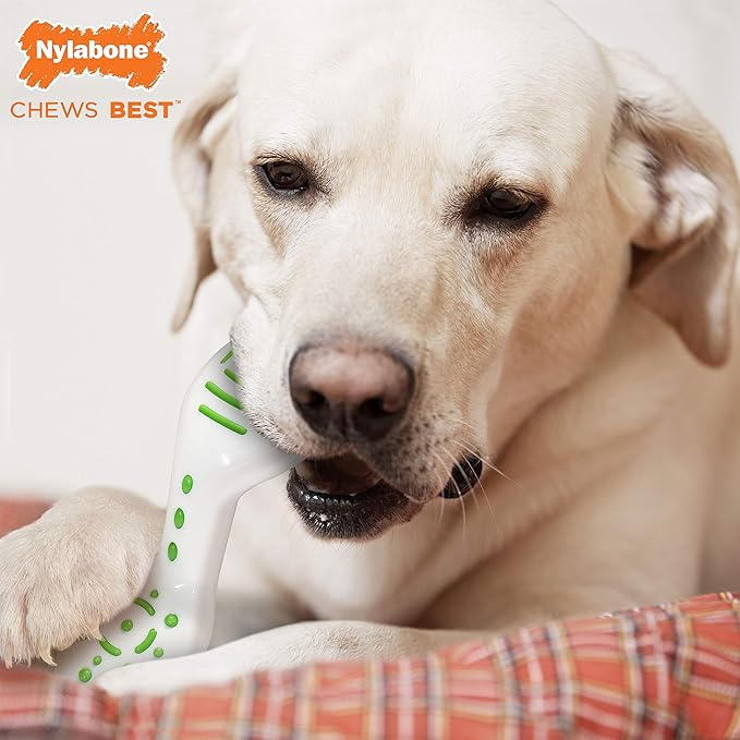 Nylabone Reach and Clean Chew Toy Bacon Large/Giant (1 Count)