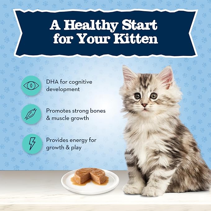 Blue Buffalo Baby Blue Natural Kitten Wet Cat Food Paté Variety Pack, Healthy Growth Formula with DHA, High-Protein & Grain-Free, Chicken and Salmon Recipes, 3-oz Cans (6 Count, 3 of Each) (Pack of 4)