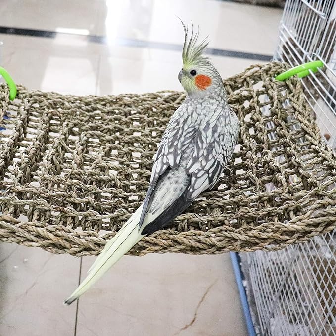 Birds Natural Seagrass Mat Hanging Woven Net Hammock Mat with Hooks Bird Cage Accessories Climbing Rope Ladder Chew Toys for Cockatiel Hamster Guinea Pig Rats Hamster Parakeet (16''x12'')