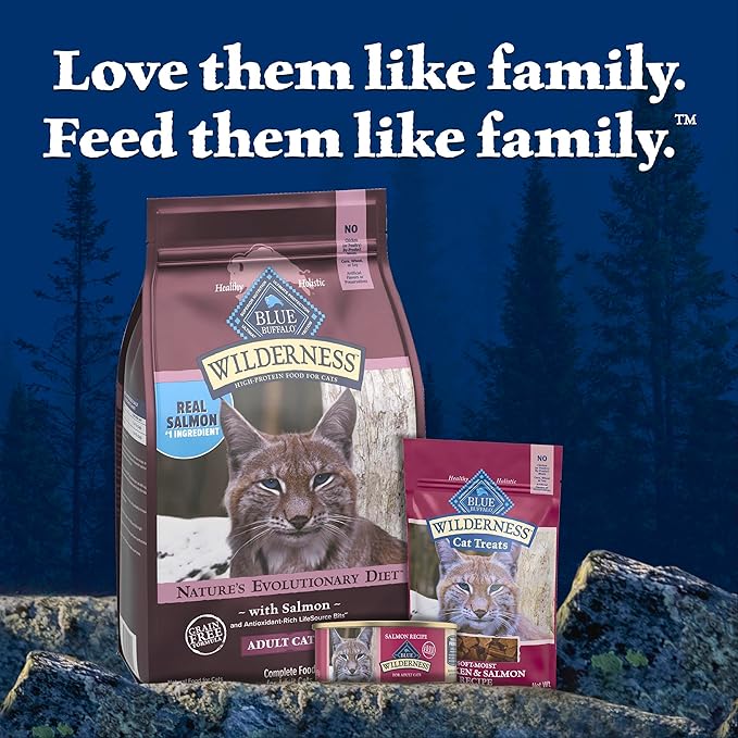Blue Buffalo Wilderness High-Protein & Grain-Free Dry Food for Mature Adult Cats 7+, Made with Natural Ingredients, Salmon Recipe, 5lb Bag