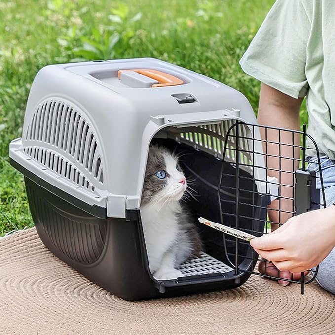 Pet Carrier for Small Dogs and Cats, Cat Carrier Plastic Dog Transport Box Pet Box for Outdoor Travel - Easy to Assemble Ample Space Excellent Ventilation (Black)
