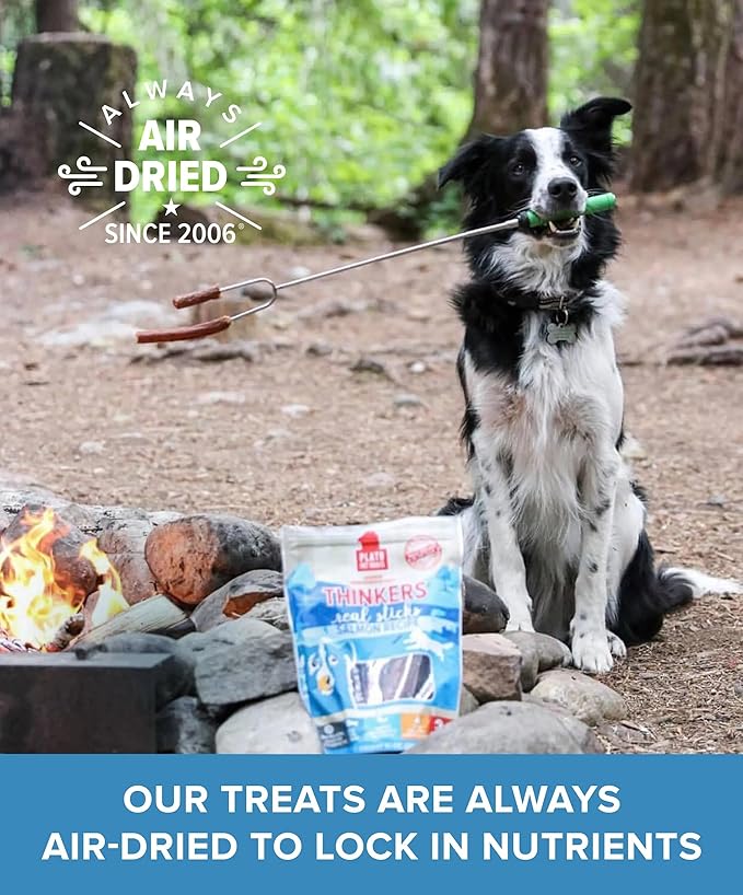 PLATO Pet Treats Air Dried Dog Treats Salmon Thinkers Sticks, Natural Dog Treats, Real Meat, Air Dried, Made in the USA, 6.5oz