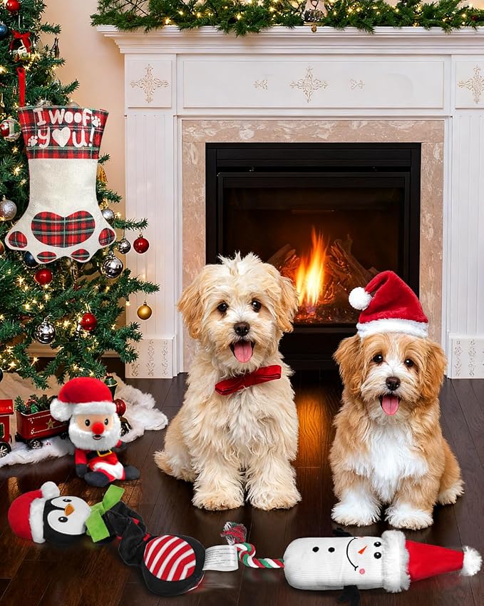 Swooflia 5 Pcs Christmas Dog Toys Stocking Stuffers - Cat Hat Plush Squeaky Dog Toys for Small Dog Cat Puppy Pet to Keep Them Busy and Celebrate Xmas (Not for Big & Aggressive Chewer)