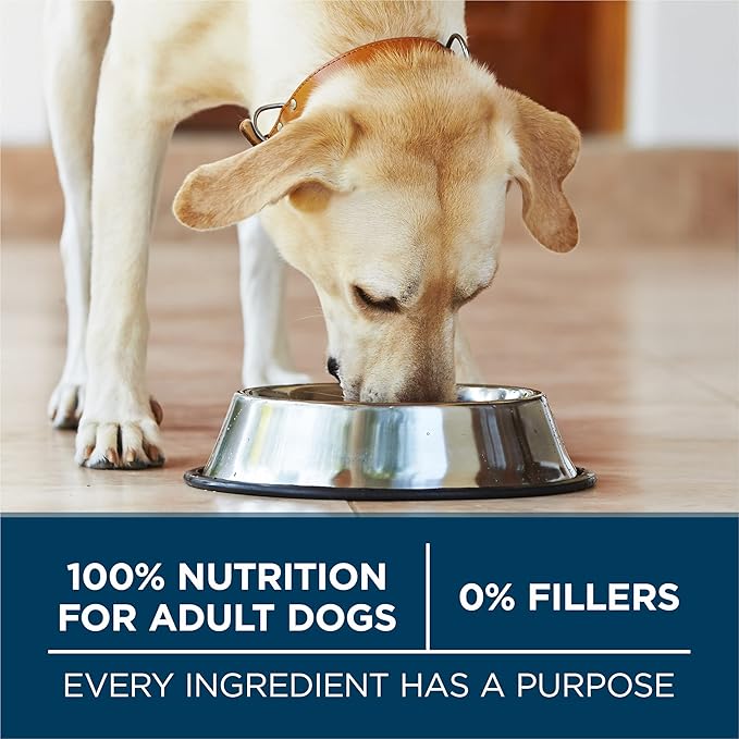 Purina One +Plus Dry Dog Food for Large Adult Dogs High Protein, Real Chicken - 31.1 lb Bag