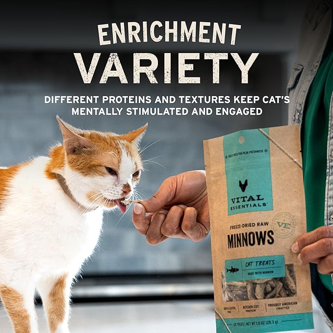 Vital Essentials Freeze Dried Cat Treats | Chicken Breast, Single Ingredient | Premium Quality | Grain Free, Healthy Treats for Cats, 1 oz Bag