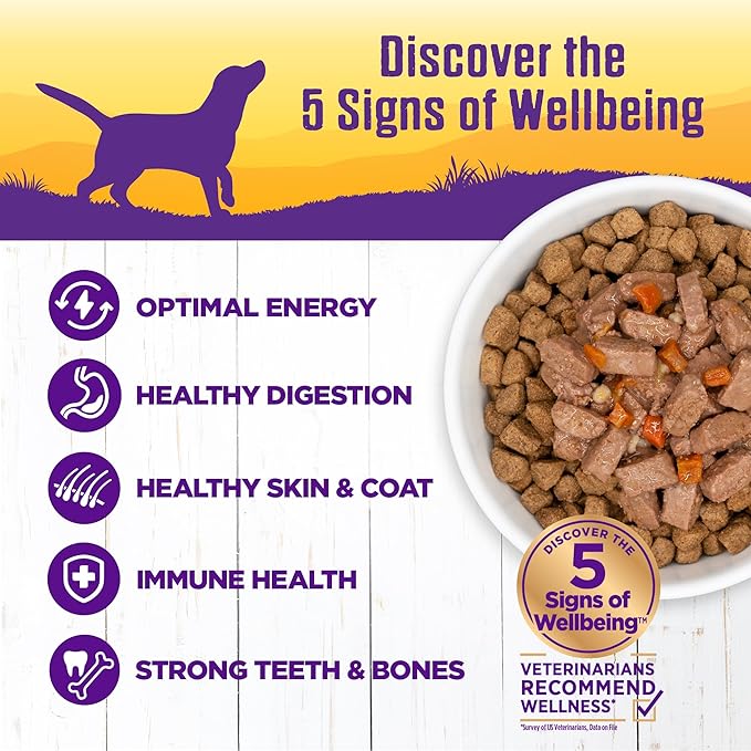 Wellness Complete Health Stew Adult Canned Wet Dog Food, Grain Free, Natural, Turkey Recipe, 12.5 oz, Pack of 12 Cans