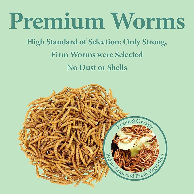 WORMSKING 2LB Dried Mealworms for Poultry, Wild Birds,Tasty Bird Food，Great Bird Watching Gift
