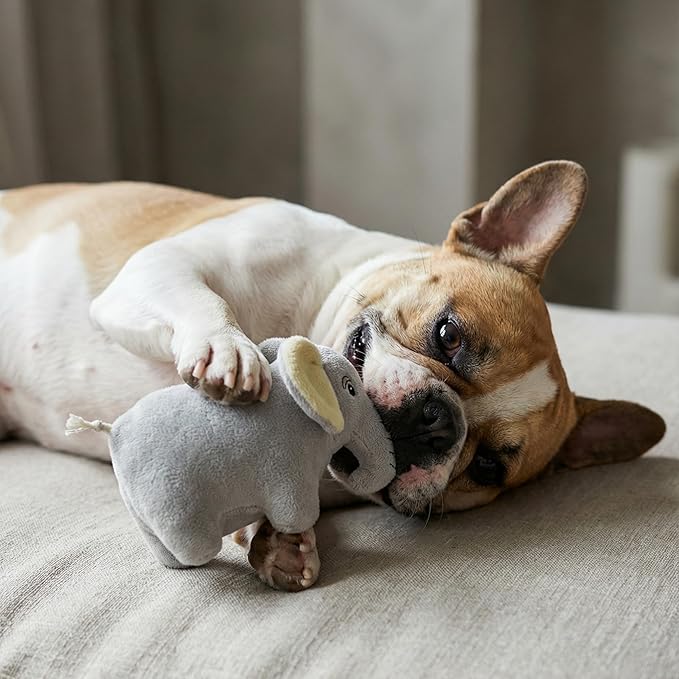 Dog Toys | Plush Elephant Stuffed Animal for Dogs | Eco Friendly Small Dog Toy