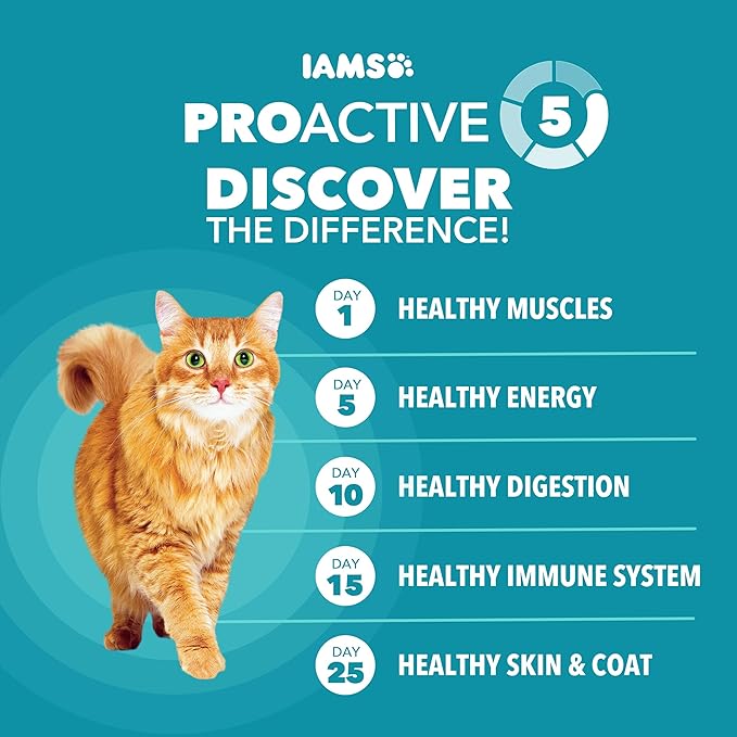 IAMS Proactive Health Dry Cat Food, Indoor Weight and Hairball Care Cat Food Dry Recipe, with Real Chicken in Every Bite, 3.5 lb. Bag