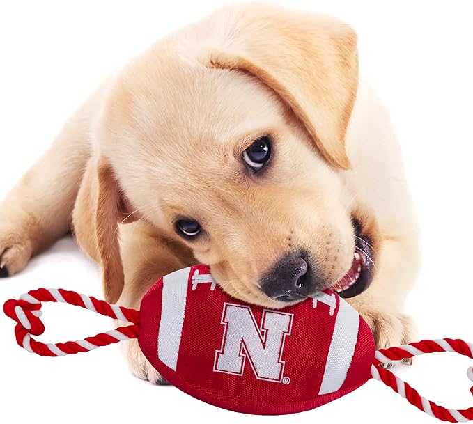 Pets First NFL Unisex NFL Nylon Football