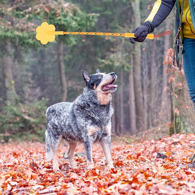 2Pcs Durable Paw Shape Rubber Dog Training Training Tool No Hurt Puppy Random Color Small Size