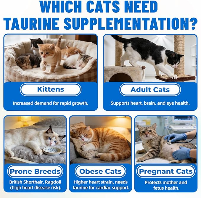 Just Try 16 OZ Taurine Treats with Coenzyme Q10 for Cats + 6.35 oz Cat Taurine Bites Coq10 Support Feline Heart Health