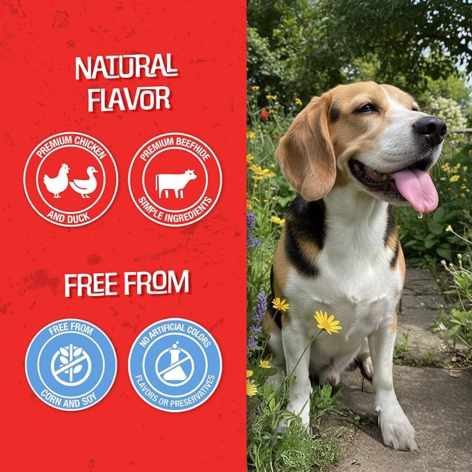 CHOMP 'EMS Five Flavor Kabobs Dog Treats - Beefhide Chewstick - High Protein Dog Chews, 24 Count, 16 oz,454g