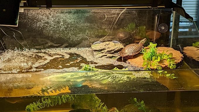 AQUA KT Aquatic Turtle Tree Trunk Round Freestanding Floating Dock Island Climbing Basking Platform Large Non Slip with Suction Cup, for Pond and Amphibian Reptile Terrarium Habitat
