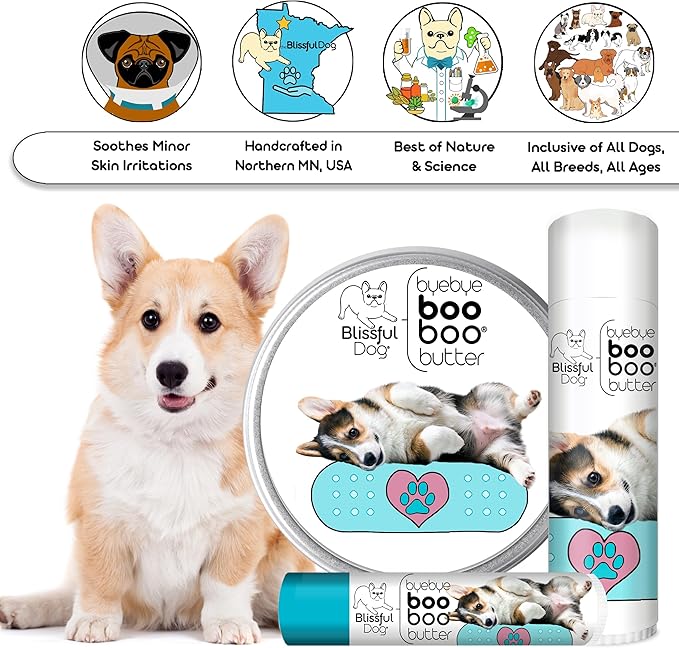 The Blissful Dog BB-CORGI-16OZ Corgi Boo Butter, 16 oz.