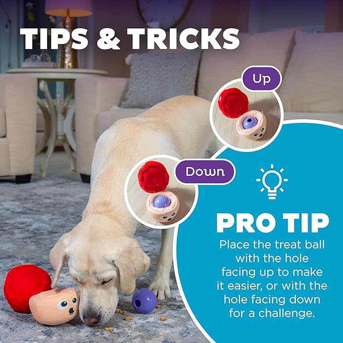 Outward Hound by Nina Ottosson Snack Palz Interactive Plush Dog Puzzle with Treat Ball, Mushroom, Multicolored