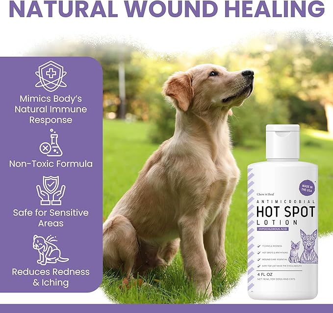 Chew + Heal Labs Hypochlorous Acid Lotion for Dogs – 4oz Dog Wound Spray for Cuts, Burns, Sores, Abrasions, and More – Non Toxic and Chemical Free Hot Spot Lotion – Made in the USA