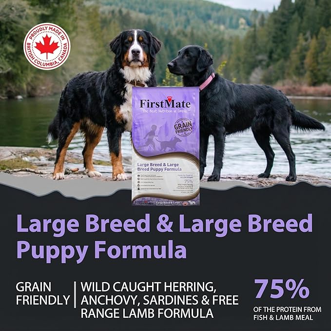 FirstMate Grain Friendly Dog Food Large Breed & Large Breed Puppy Formula – Wild Caught Fish & Grass Fed Lamb, Dry Dog Food for Growth & Joint Support, Pea Free & Potato Free – 25 lb Bag