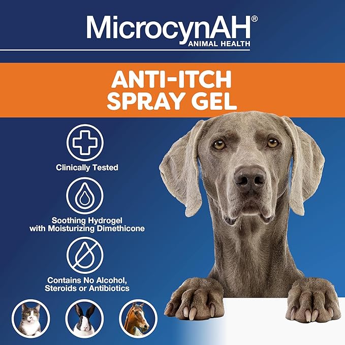 MicrocynAH Anti-Itch Spray Gel, Soothing Hydrogel w/ Dimethicone, Relief Dermatitis Itch & Pain, Clinically Tested, No Alcohol, Steroids or Antibiotics, Safe for Dogs, Cats, Horses & Rabbits, 8oz