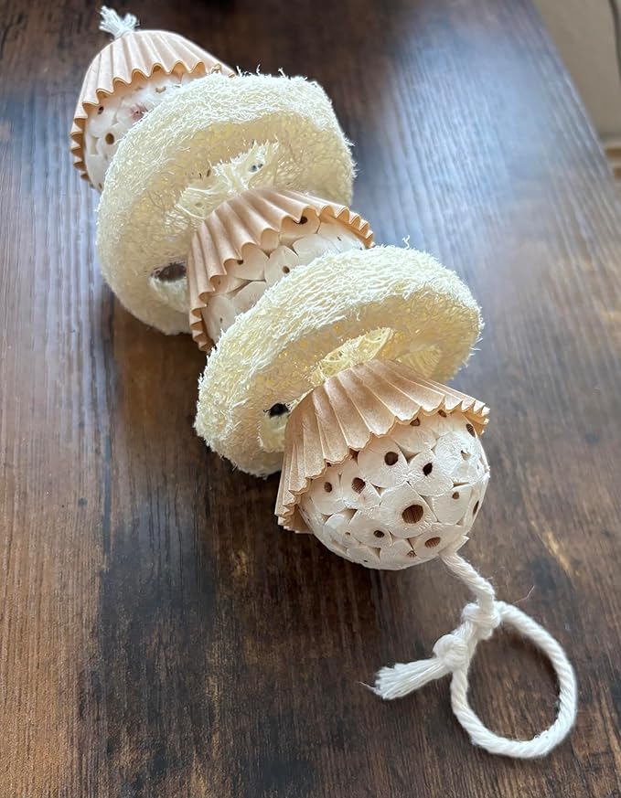 Natural Bird Toy - Shred and Destroy - Double Texture Soft & Crunchy - Sola Ball and Loofah Plant - Small Birds - Budgies, Lovebirds - 2 Pack