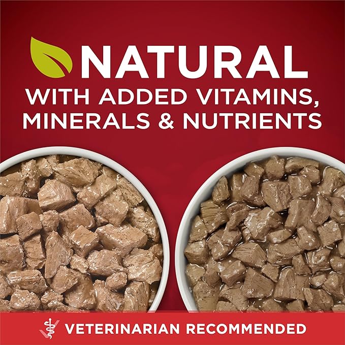 Purina ONE True Instinct Tender Cuts in Gravy with Real Chicken and Duck, with Real Beef and Salmon High Protein Wet Dog Food Variety Pack - (Pack of 1) 13 oz. Cans