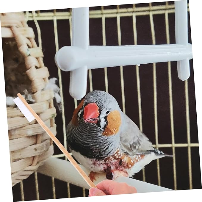 Kisangel 2pcs Bird Cage Cleaning Brush Set Wire Brush Dropping Shovel for Pet Birds Cage Accessories