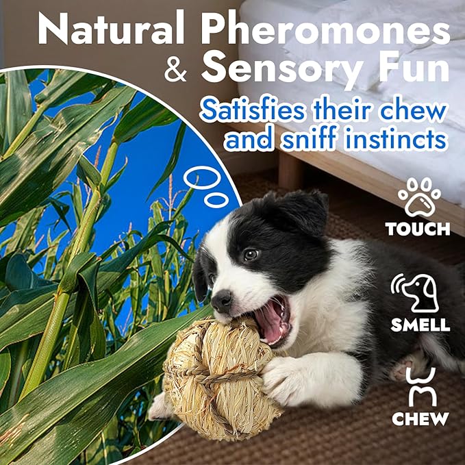 Natural Dog Chew Toy, 1pcs Woven Grass Chew Ball for Dogs, Dental Teething Toy & Interactive Fetch Toys, Outdoor Rattan Digestible Chew Ball for Boredom Relief - Seaweed & Corn Husk