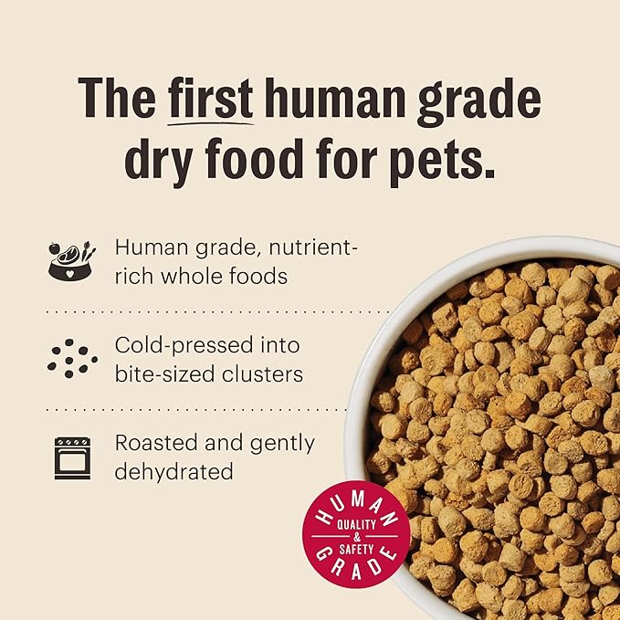The Honest Kitchen Human Grade Dry Cat Food, Whole Food Clusters Grain Free Dry Cat Food, Chicken 1 lb Trial Pouch