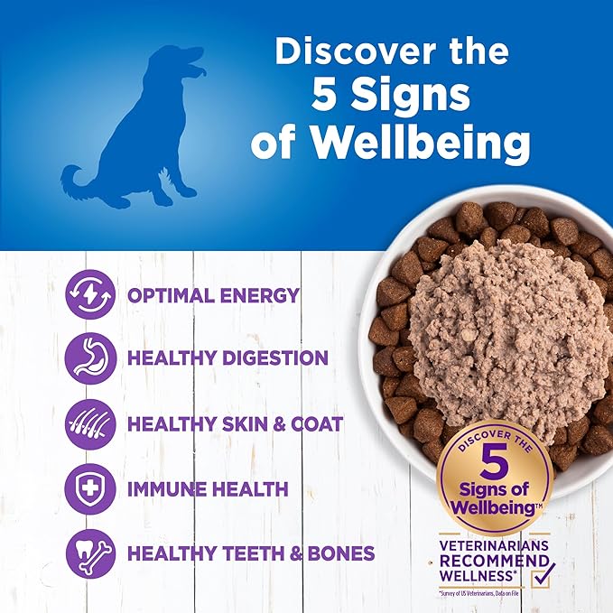 Wellness Simple Limited Ingredient Diet Adult Canned Wet Dog Food, Wholesome Grains, Natural, Turkey and Potato Recipe, 12.5 oz, Pack of 12 Cans