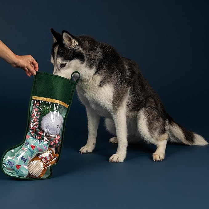 Fringe Studio Pet Toy, Happy Pawlidays Dog Toy Stocking 6 Piece Set, PetShop Collection (630020)