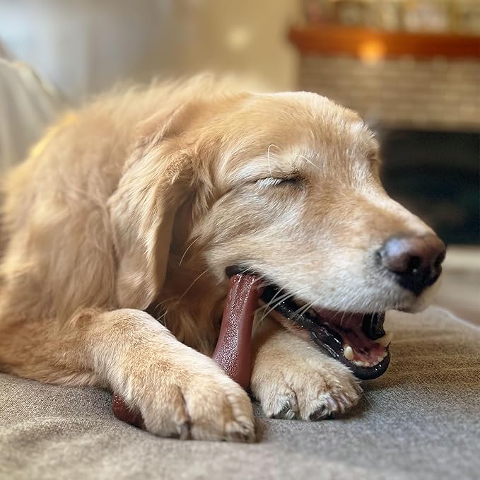 Nylabone Elk Bone Alternative Power Chew Toy for Dogs, Dog Toys for Aggressive Chewers, Venison Flavor, X-Large - 50+ lbs, 1 Count