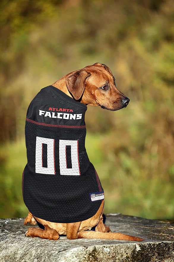 Atlanta Falcons Raglan Pet Jersey