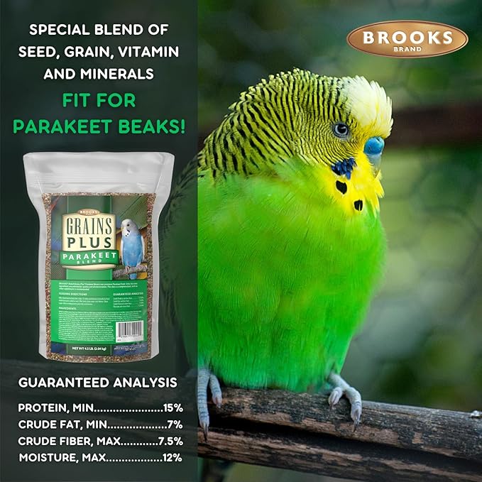 Brooks Brand Grains Plus Parakeet Blend, Bird Food Parakeet Bird Seed, Seed Mix, Millet for Budgie Seed (4.5 lbs Bag)