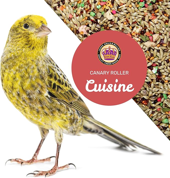 Leach Grain Royal Feeds Canary Roller Cuisine - 20lb Bag