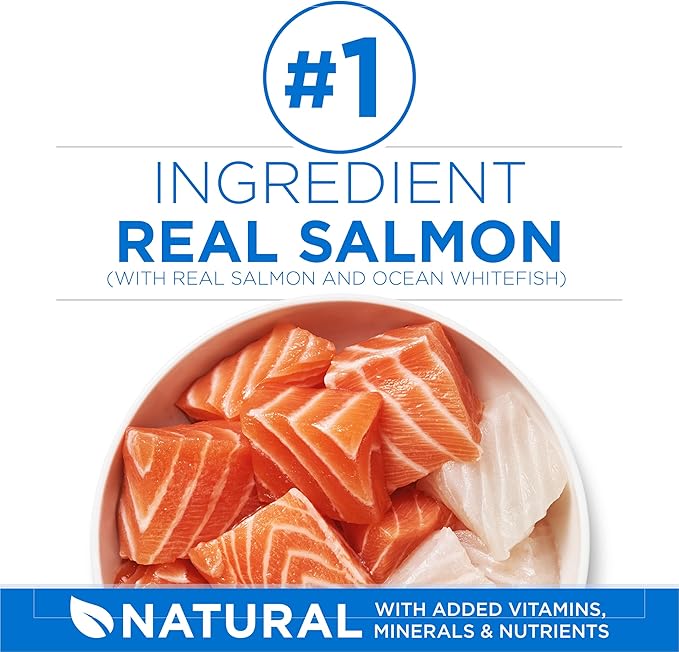 Purina ONE Plus High Protein Cat Food Dry Salmon and Ocean Whitefish Cat Skin and Coat Health Formula - 16 lb. Bag
