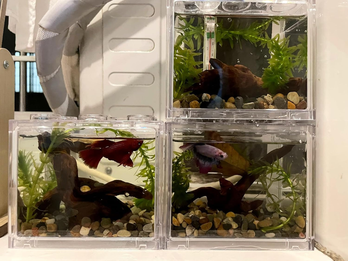 Small Natural Driftwood for Aquarium Styling Carefully Selected Natural Aquarium Decor Driftwood for Reptile Tank Reptile Tank Wood Decor (Driftwood 4-6inch 4pcs)