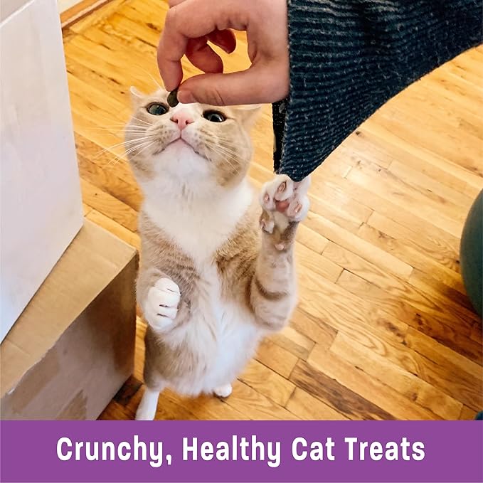 Wellness Kittles Natural Grain Free Cat Treats, Tuna & Cranberries, 6-Ounce Bag (Pack of 2)