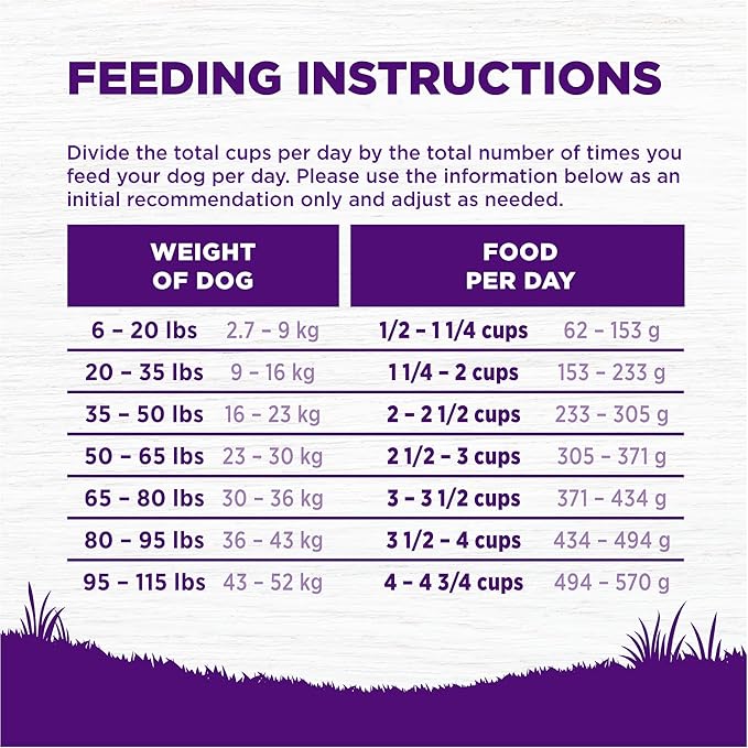 Wellness Complete Health Adult Dry Dog Food, Wholesome Grain Kibble, Natural, Chicken and Oatmeal Recipe, 38 lb Bag