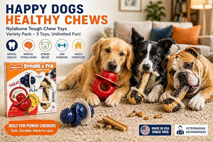 Nylabone Tough Dog Chew Variety Pack, 3 Count