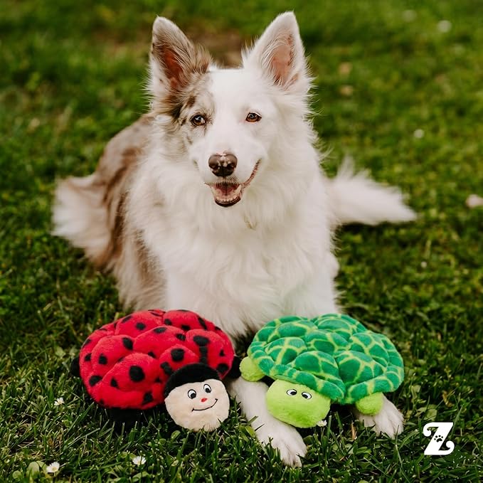 ZippyPaws Squeakie Crawlers - No Stuffing Dog Toys to Keep Them Busy, for Small, Medium, & Large Dogs, Squeaky Pet Toy for Boredom, Unstuffed Chew Toy, Puppy Products, Turtle & Ladybug - 2 Pack, 10"