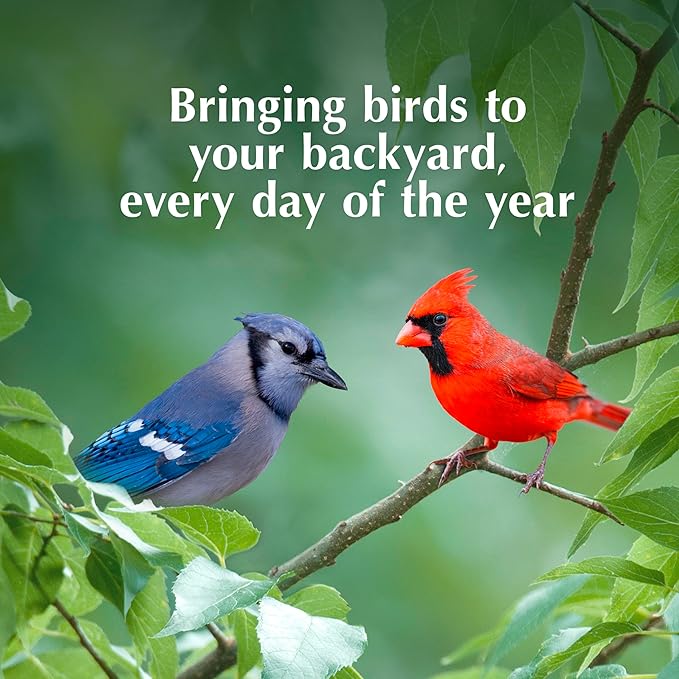C&S Insect Delight No Melt Suet Dough, Suet Cakes for Wild Birds Including Robins, Blue Jays, Woodpeckers, Wrens, Bluebirds and More, 11.75 Ounces, Pack of 8