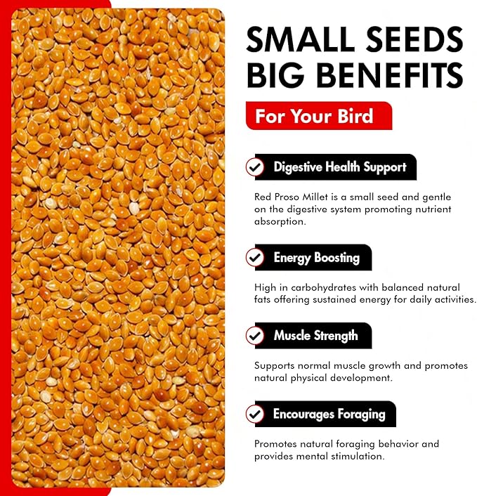 Morning Bird Red Proso Millet 4.5 lbs (3-Pack, 1.5 lbs Each) – Natural Bird Seed – Supports Feather Growth & Balanced Nutrition – Great Flavor, Energy Dense - Ideal for Finches, Parakeets & Pet Birds