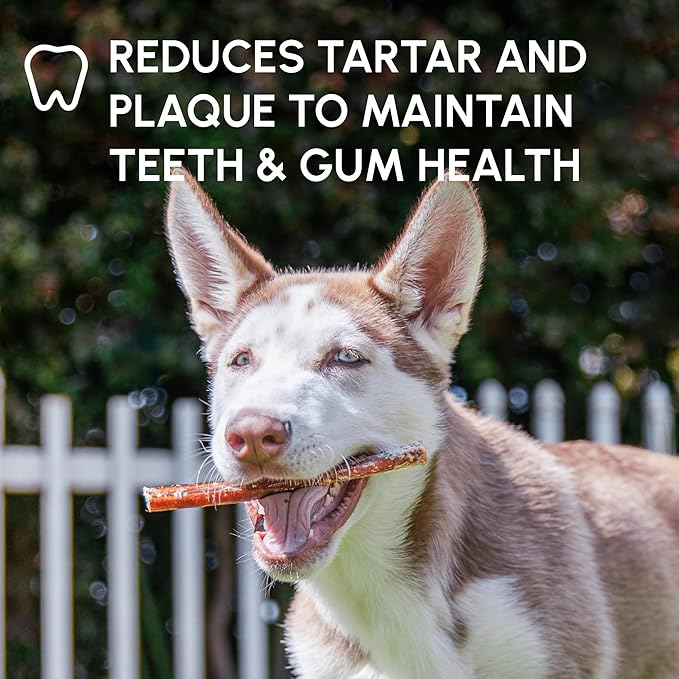 Downtown Pet Supply USA Sourced Bully Sticks for Dogs - Grass-fed Beef Chews, Low-Odor & Rawhide-Free, Long Lasting Dog Treats - Healthy, Safe & Delicious Chews (12" 15 Pack)