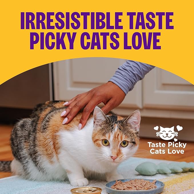 Wellness Complete Health Pate Adult Wet Cat Food,Natural,Protein-Rich,Grain Free,3 Ounce,(Turkey & Salmon),(Pack of 48)