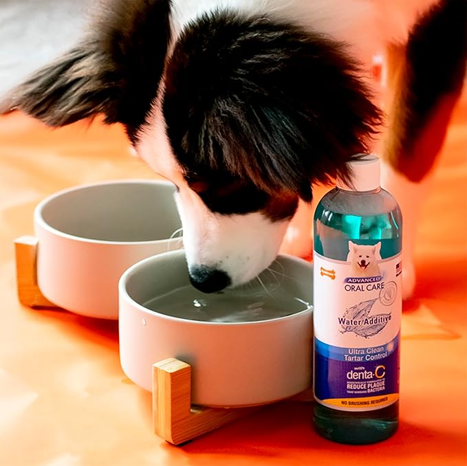 Nylabone Advanced Oral Care Pet Dental Water Additive, Liquid Tartar Remover & Breath Freshener for Dogs, Dog Teeth-Cleaning, Original Flavor, 32 oz.